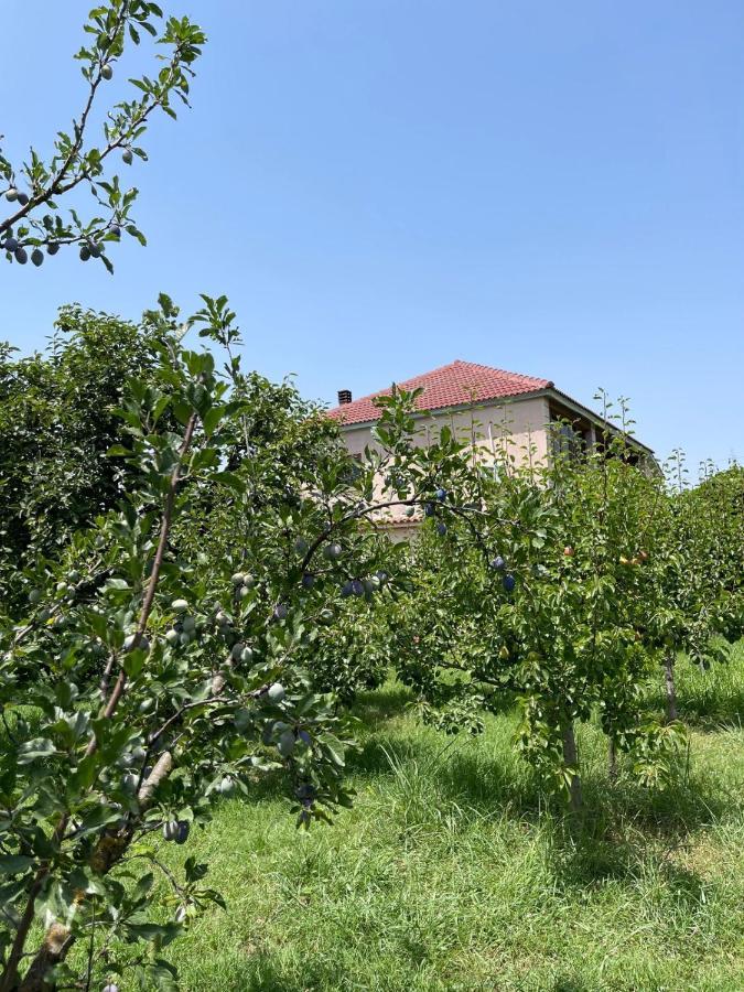 Villa Mance Berat Exterior photo